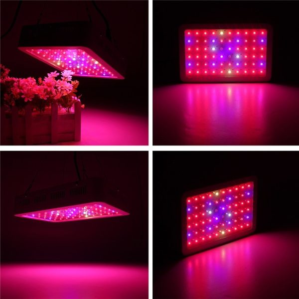 1000W Full Spectrum LED Grow Light for indoor greenhouse & hydroponic plants Online Hot Sale