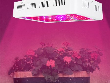 1000W Full Spectrum LED Grow Light for indoor greenhouse & hydroponic plants Online Hot Sale