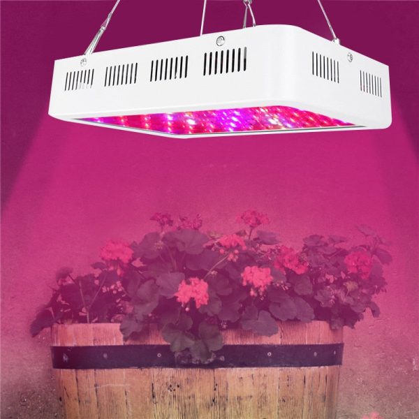 1000W Full Spectrum LED Grow Light for indoor greenhouse & hydroponic plants Online Hot Sale